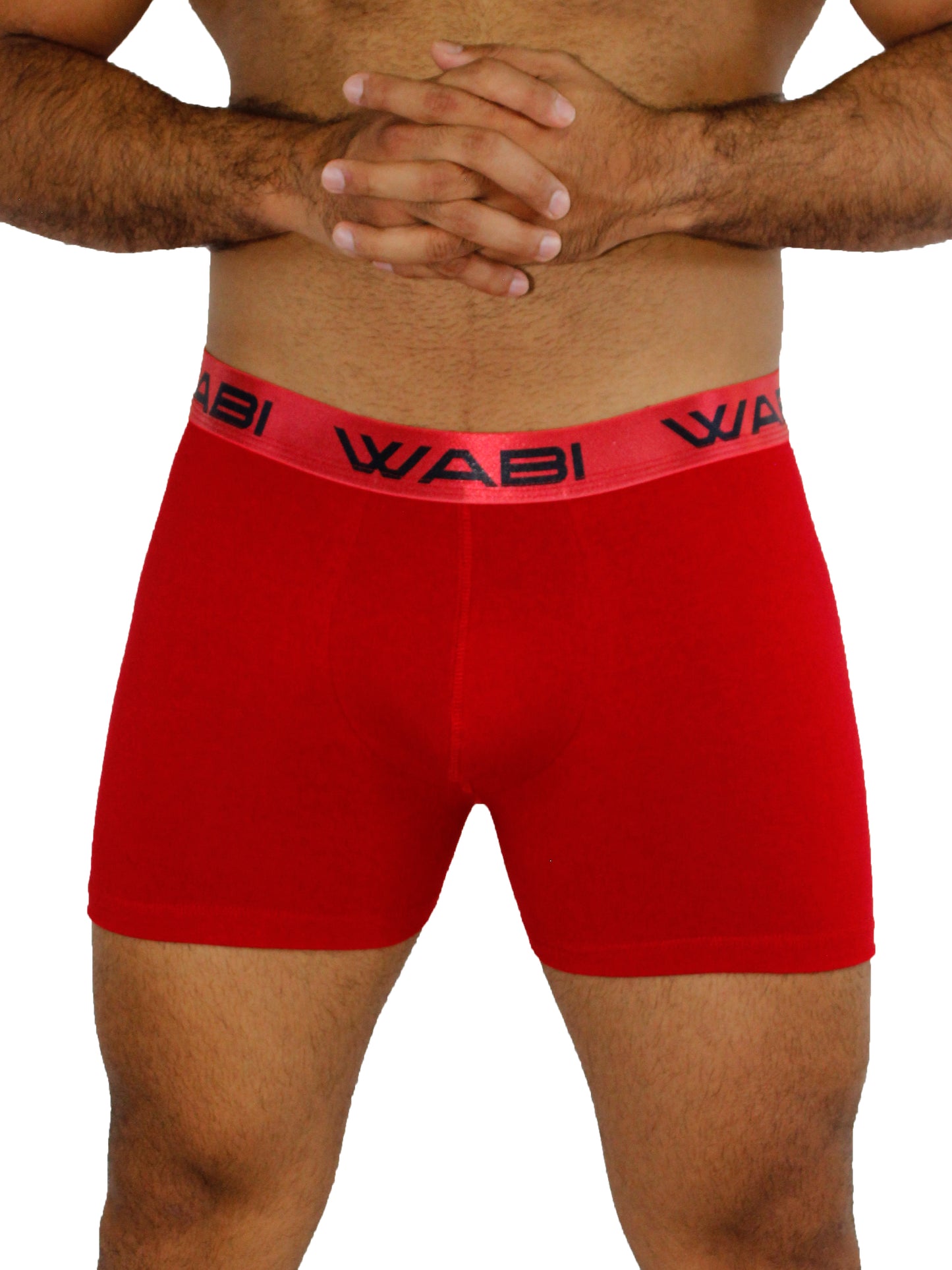 Boxer David