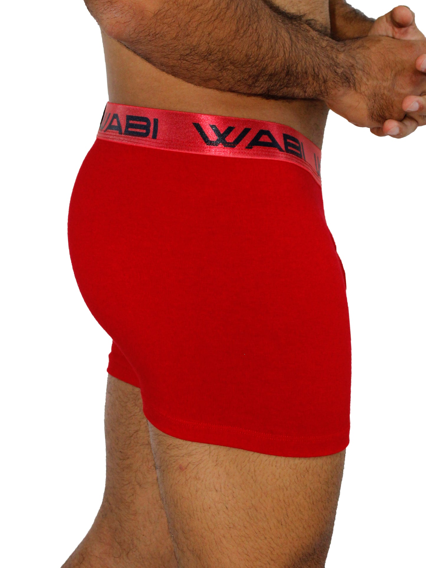 Boxer David