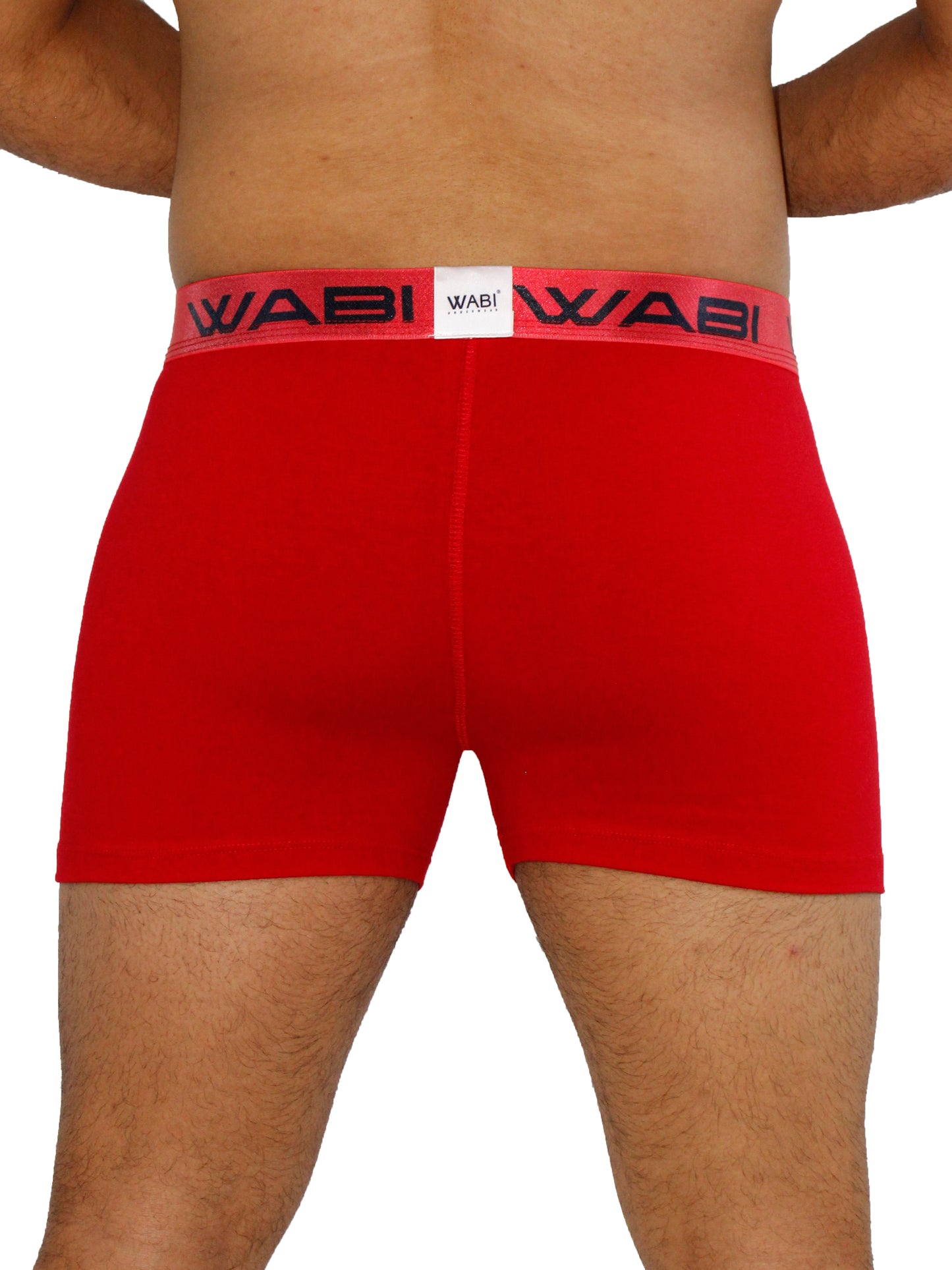 Boxer David