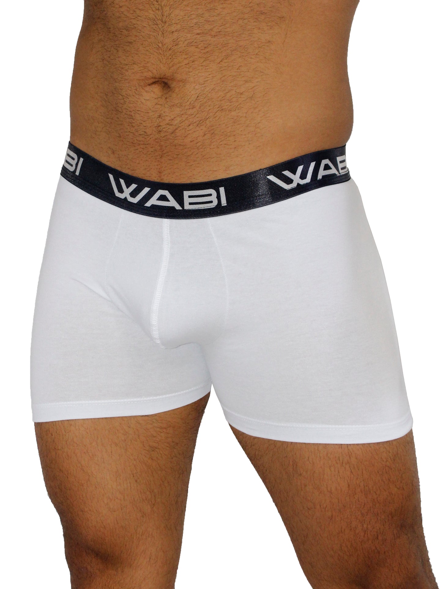 Boxer David