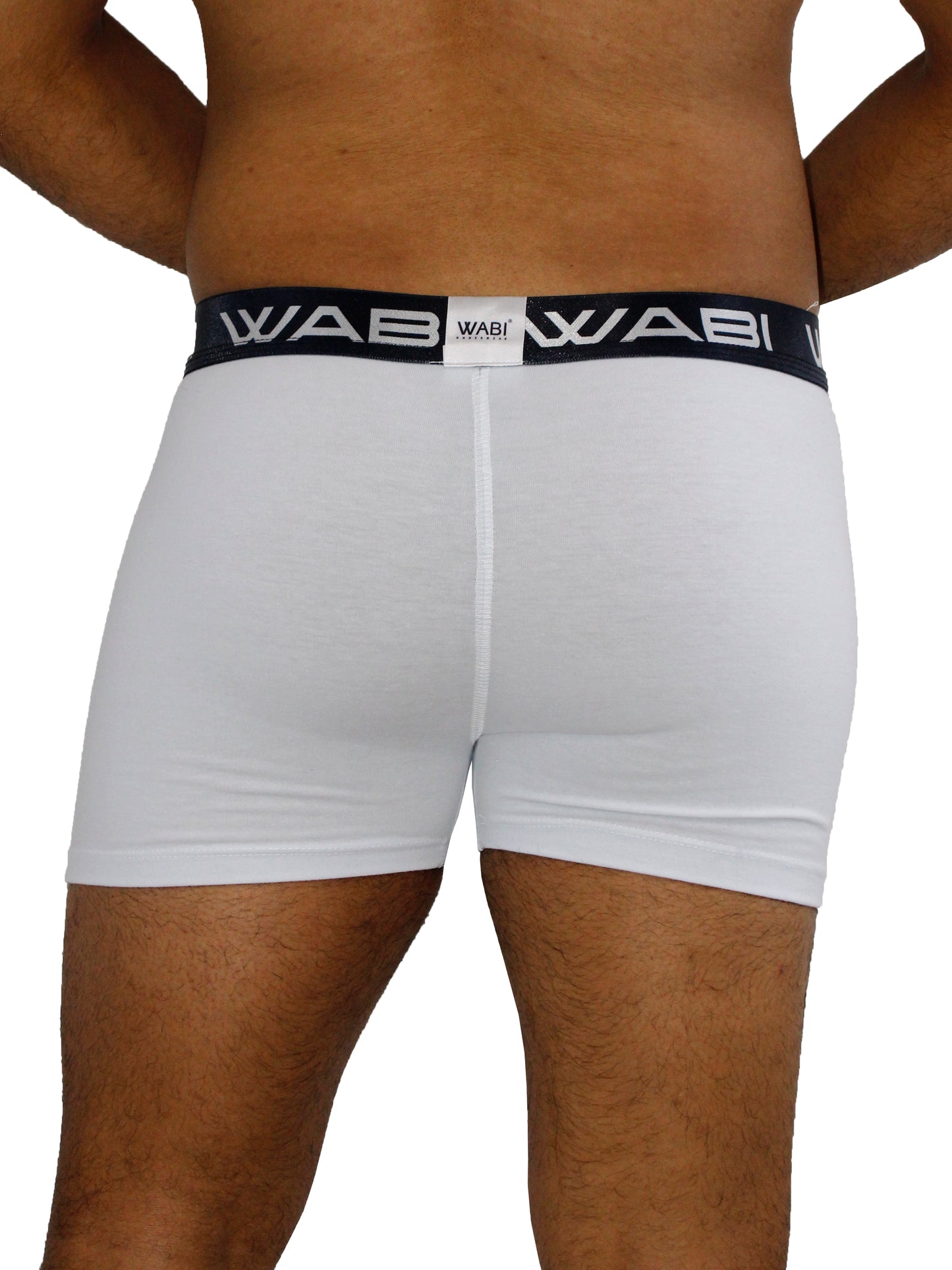 Boxer David