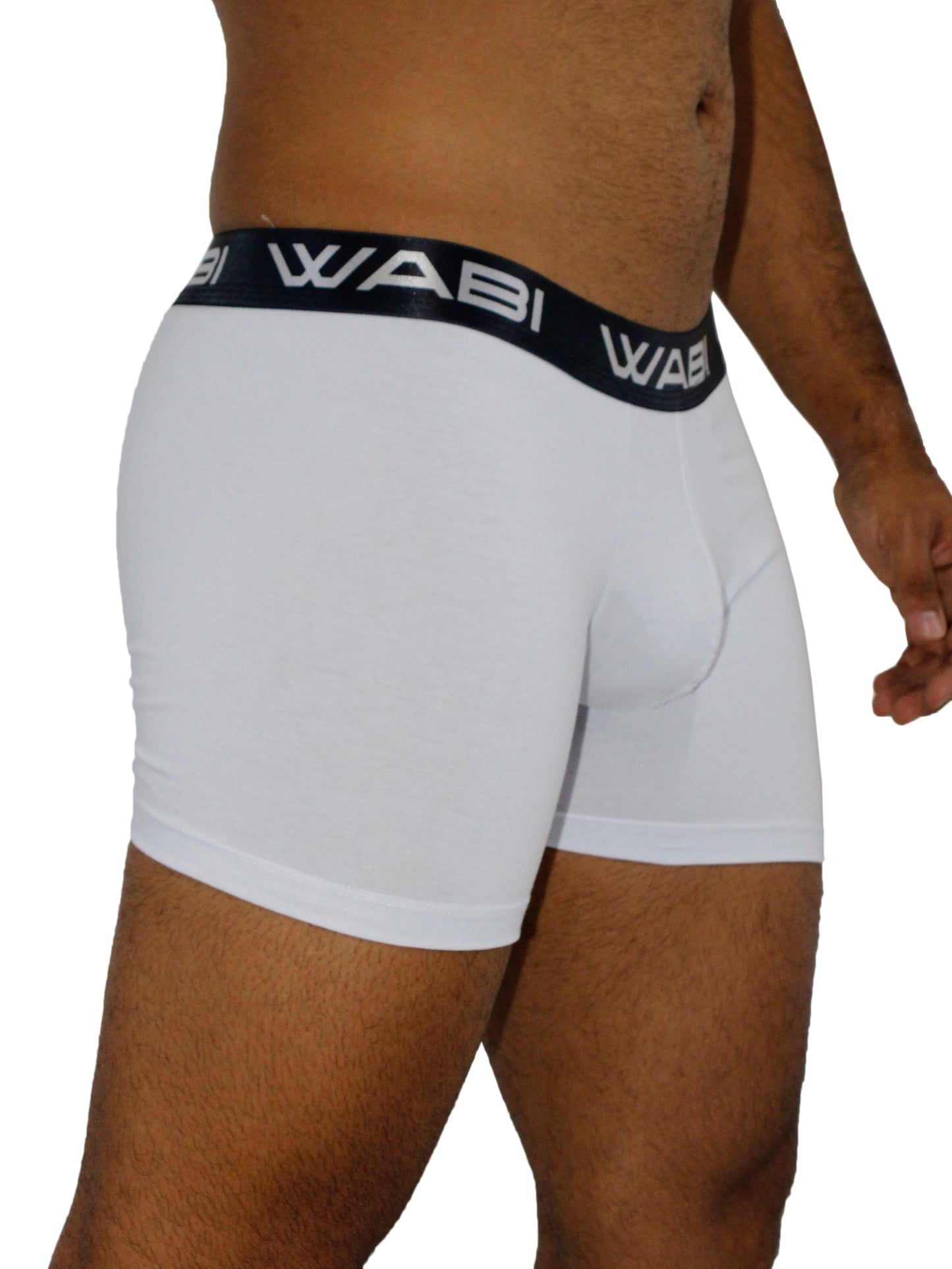 Boxer David