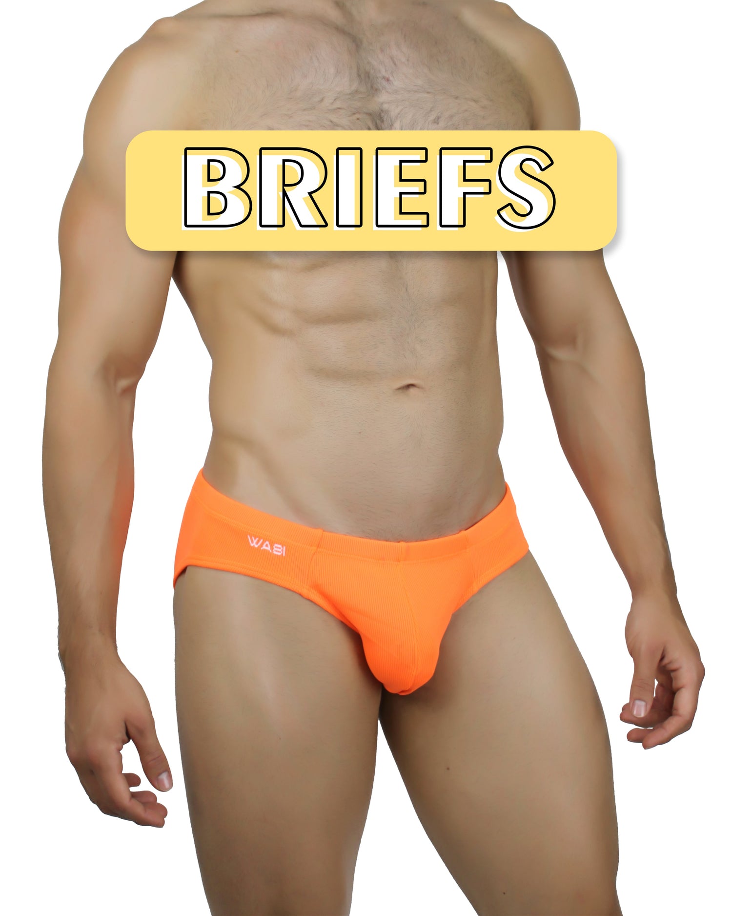 Briefs