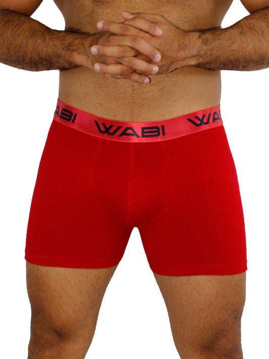 Boxer David