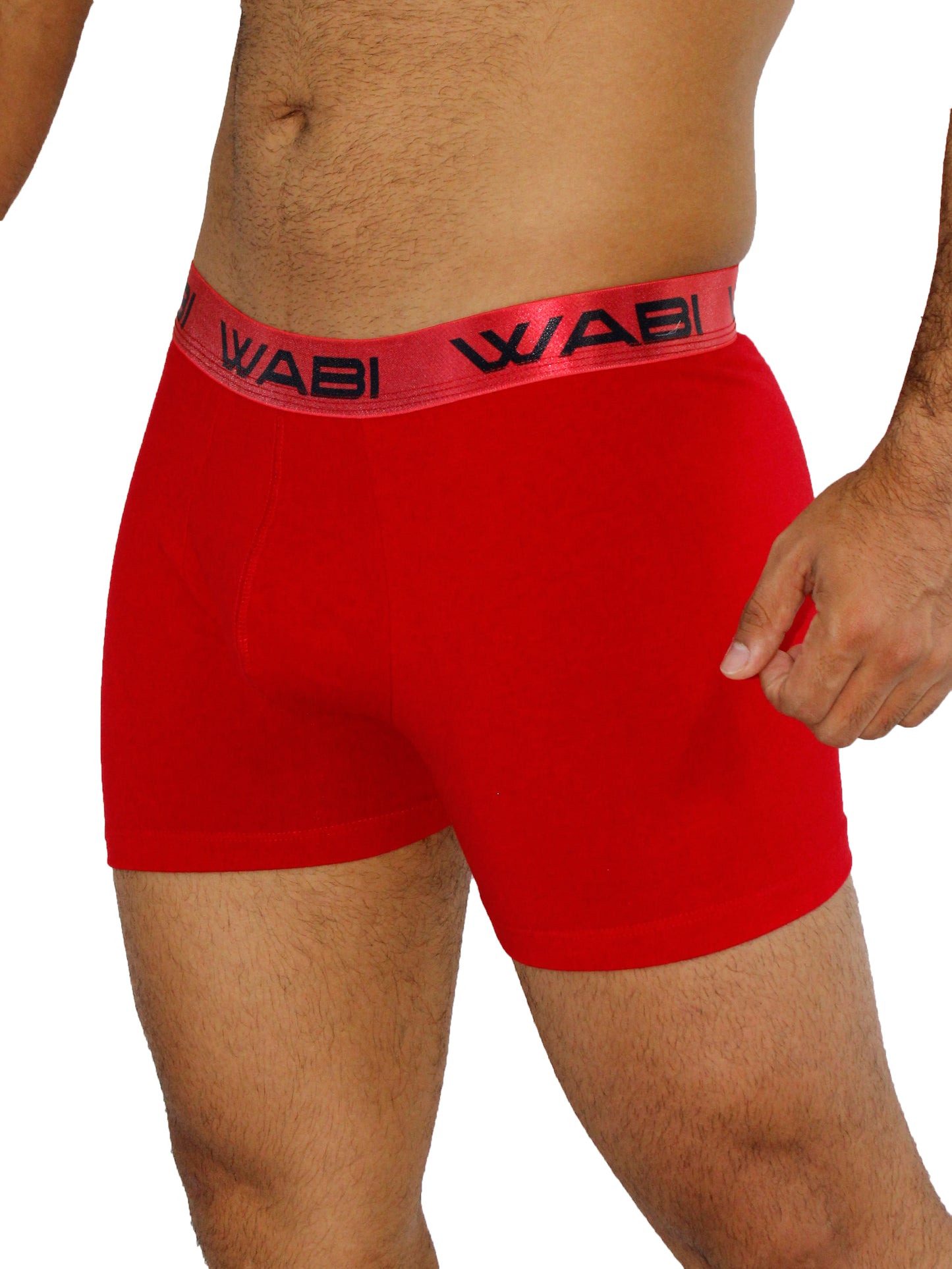 Boxer David