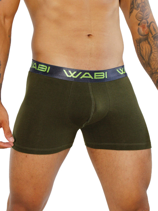 Boxer David