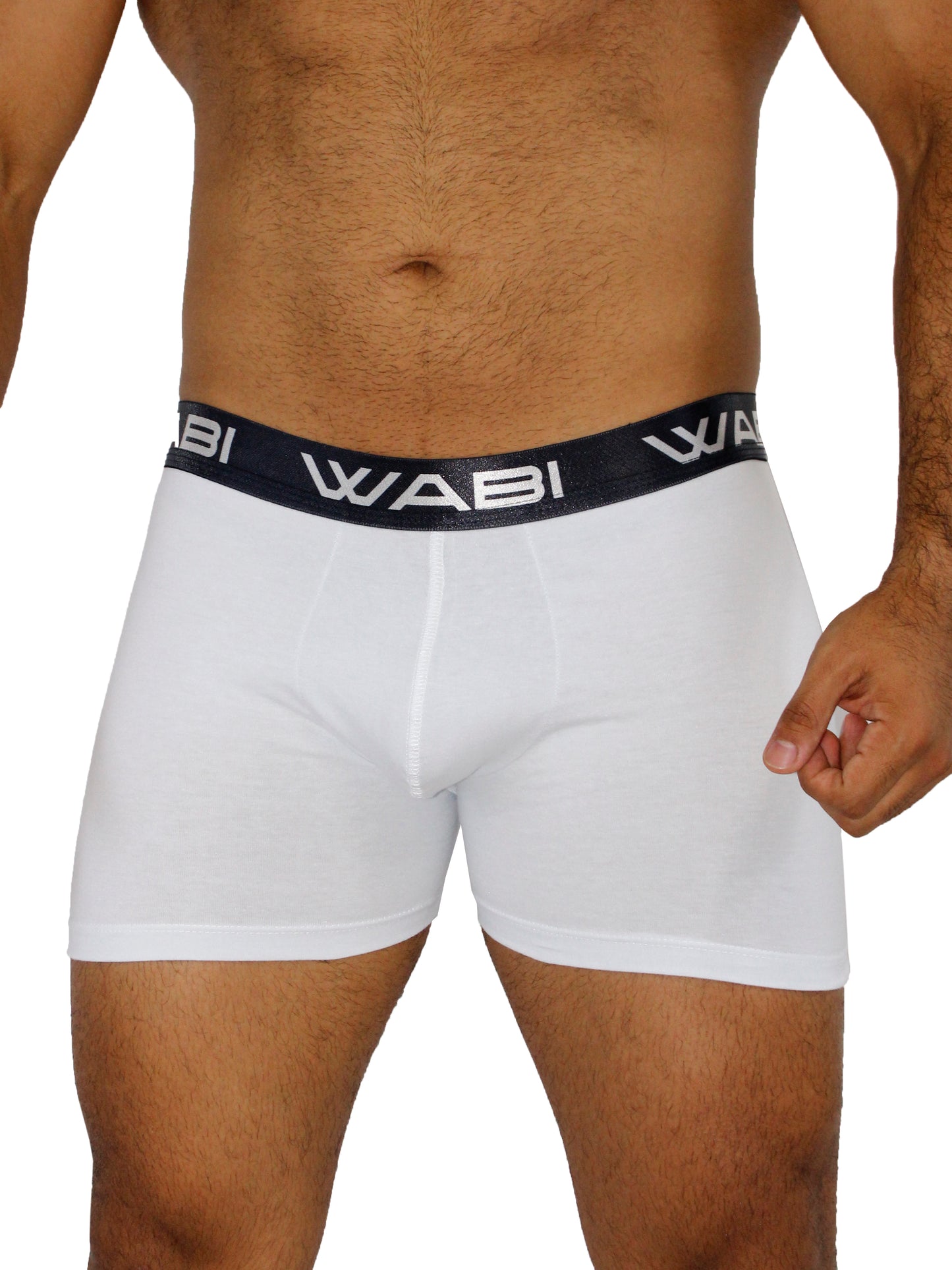 Boxer David